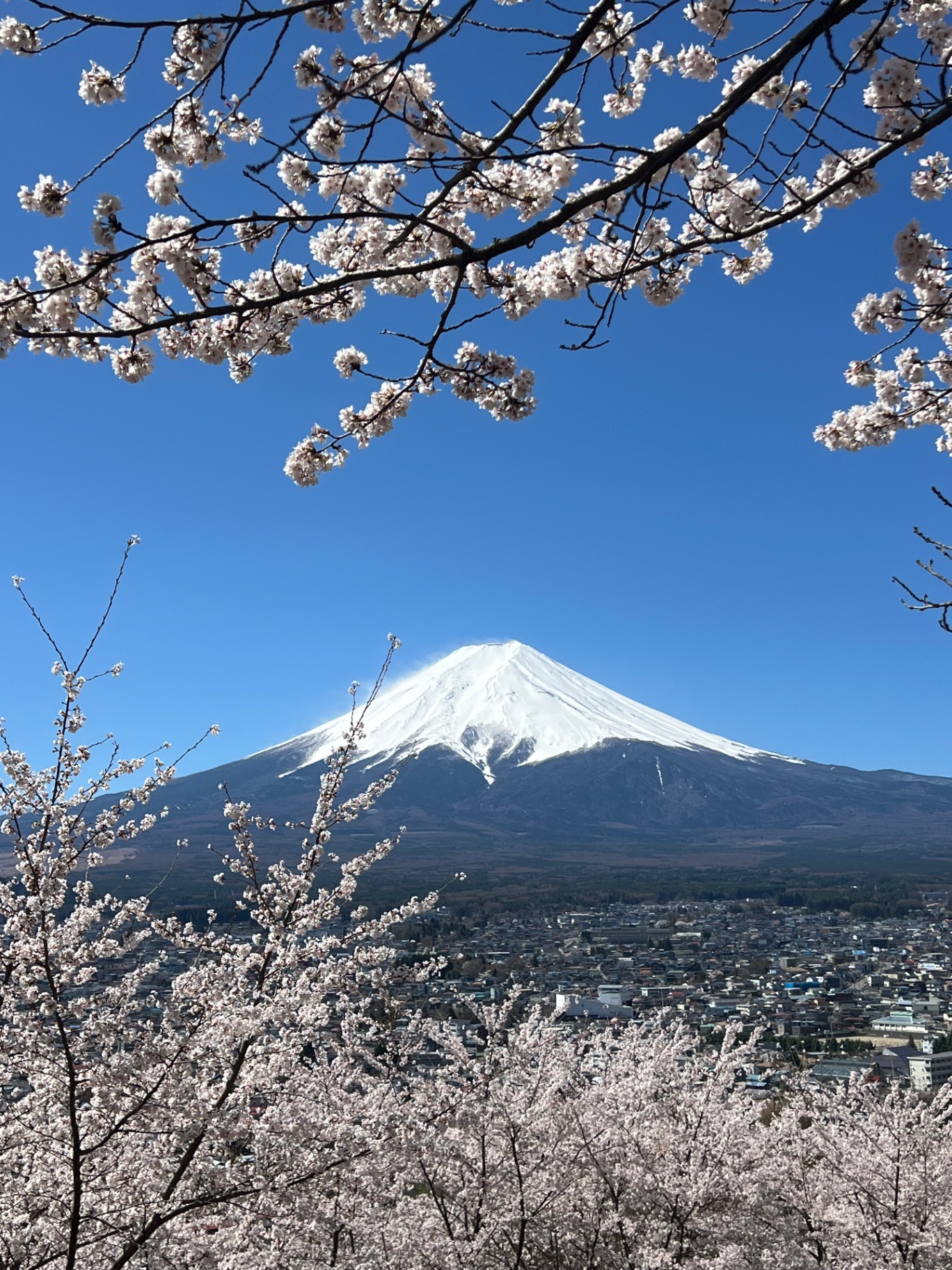 Mt Fuji — photo 1