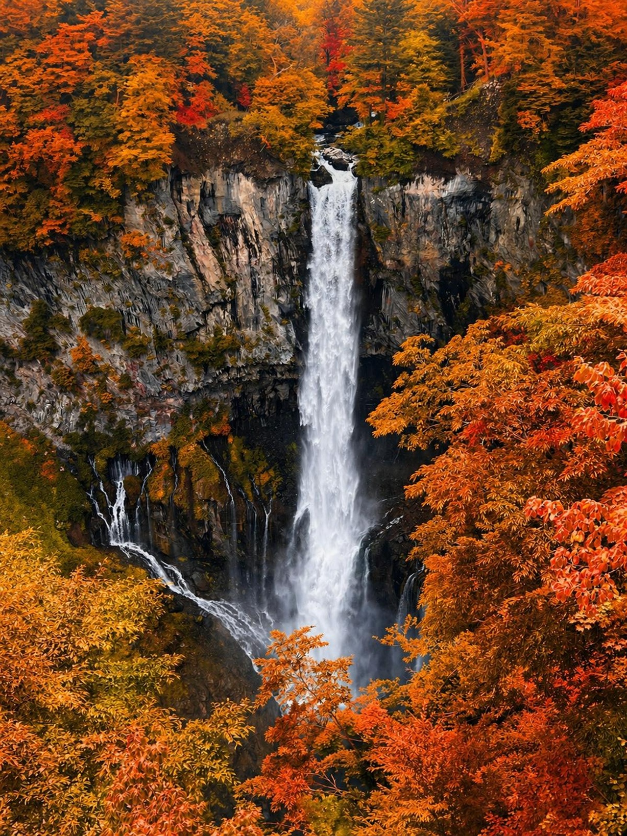 Nikko — photo 2