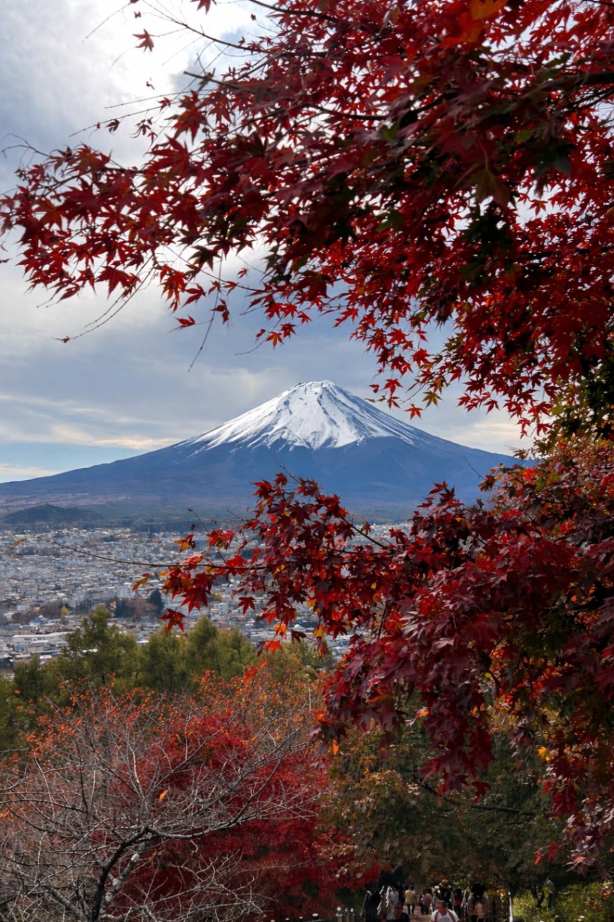 Mt Fuji — photo 3